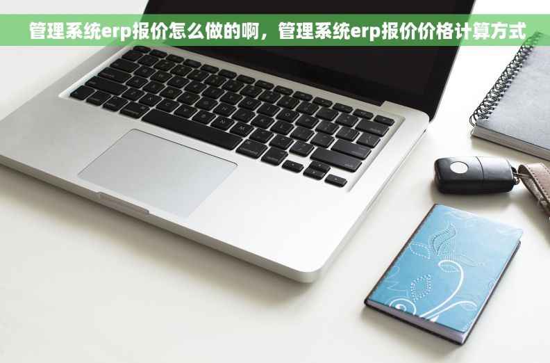  管理系统erp报价怎么做的啊，管理系统erp报价价格计算方式