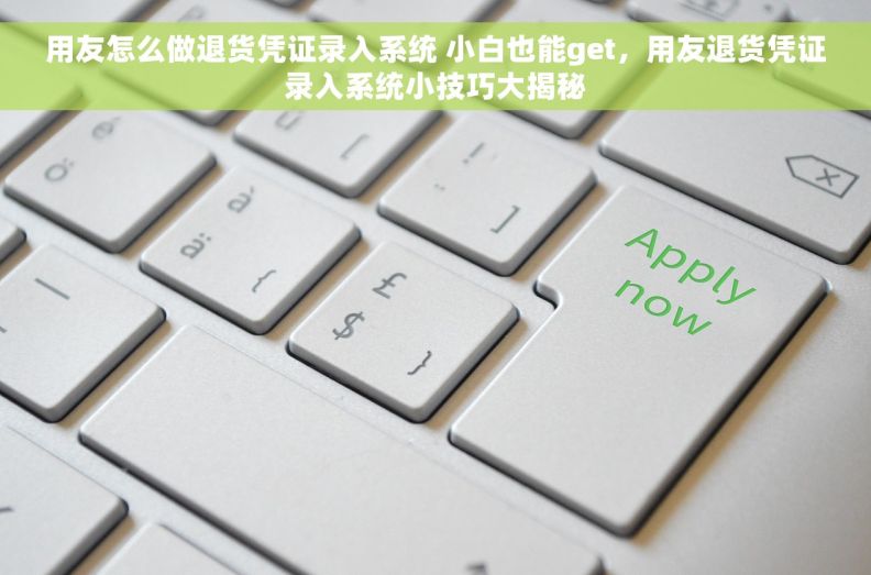 用友怎么做退货凭证录入系统 小白也能get，用友退货凭证录入系统小技巧大揭秘
