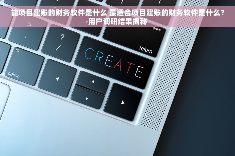 能项目建账的财务软件是什么 最适合项目建账的财务软件是什么？用户调研结果揭秘