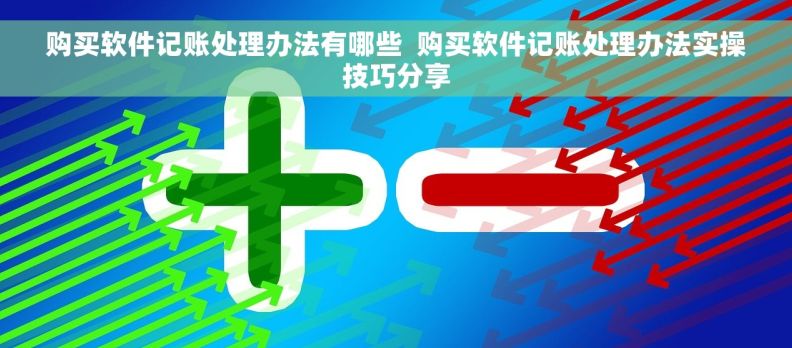 购买软件记账处理办法有哪些  购买软件记账处理办法实操技巧分享