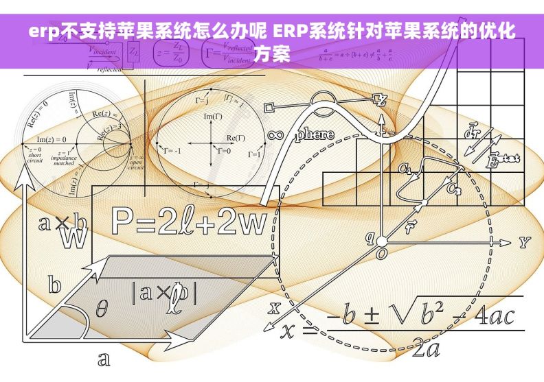 erp不支持苹果系统怎么办呢 ERP系统针对苹果系统的优化方案