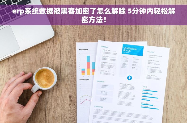 erp系统数据被黑客加密了怎么解除 5分钟内轻松解密方法！