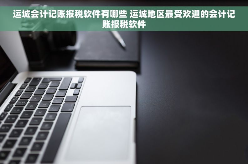 运城会计记账报税软件有哪些 运城地区最受欢迎的会计记账报税软件
