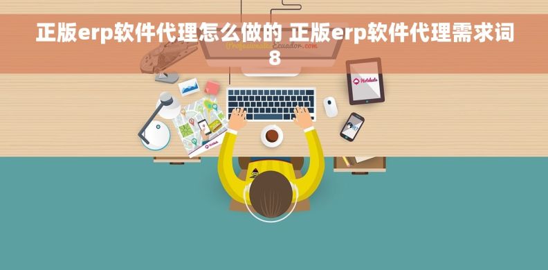 正版erp软件代理怎么做的 正版erp软件代理需求词8