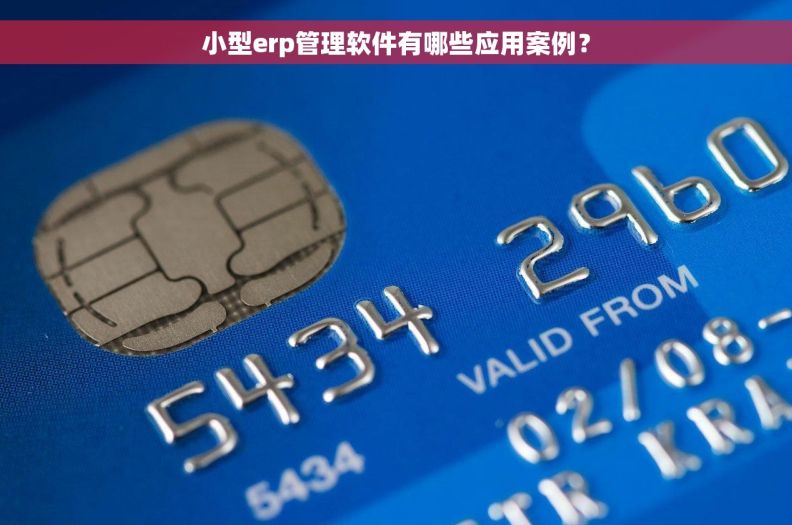 小型erp管理软件有哪些应用案例？