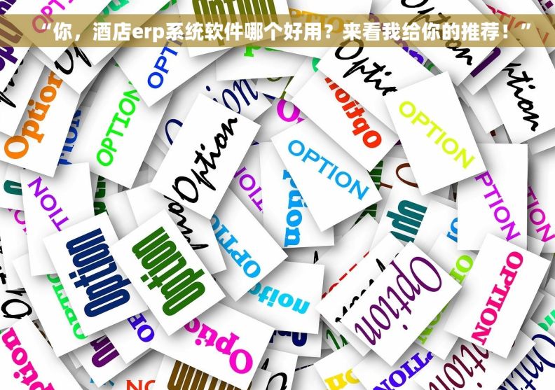 “你，酒店erp系统软件哪个好用？来看我给你的推荐！”