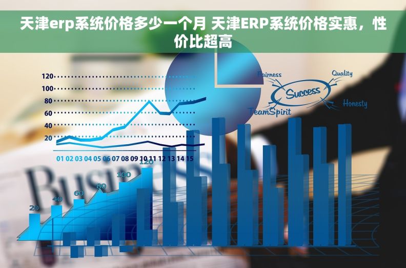 天津erp系统价格多少一个月 天津ERP系统价格实惠，性价比超高