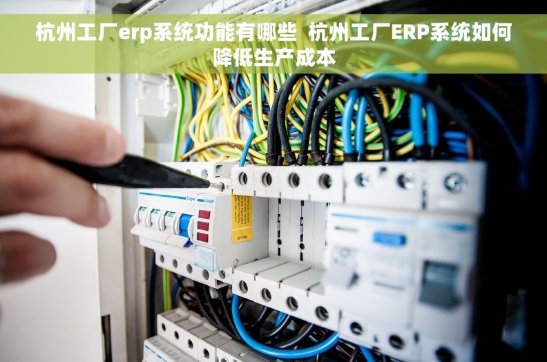 杭州工厂erp系统功能有哪些  杭州工厂ERP系统如何降低生产成本