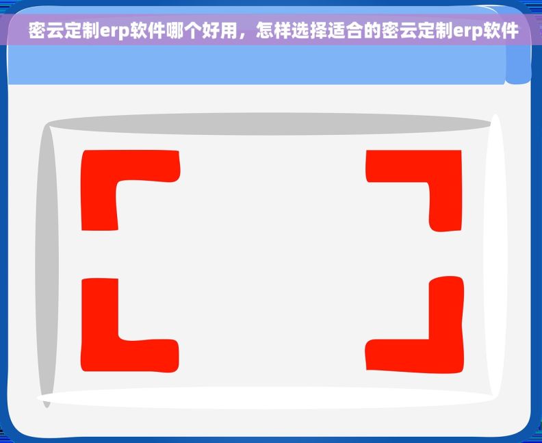  密云定制erp软件哪个好用，怎样选择适合的密云定制erp软件