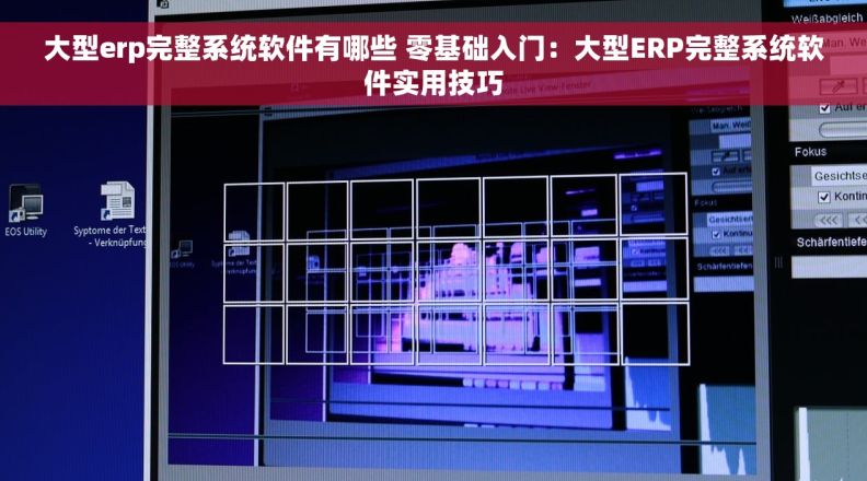 大型erp完整系统软件有哪些 零基础入门：大型ERP完整系统软件实用技巧
