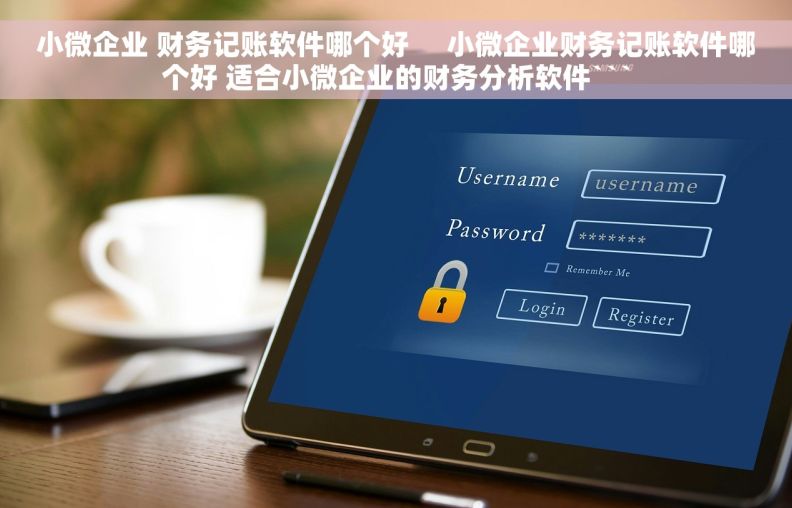 小微企业 财务记账软件哪个好     小微企业财务记账软件哪个好 适合小微企业的财务分析软件```