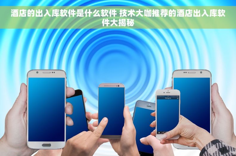 酒店的出入库软件是什么软件 技术大咖推荐的酒店出入库软件大揭秘