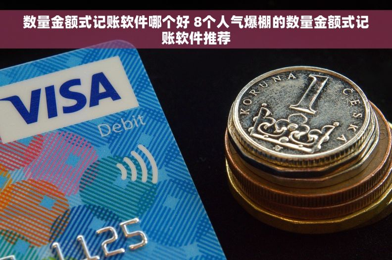 数量金额式记账软件哪个好 8个人气爆棚的数量金额式记账软件推荐
