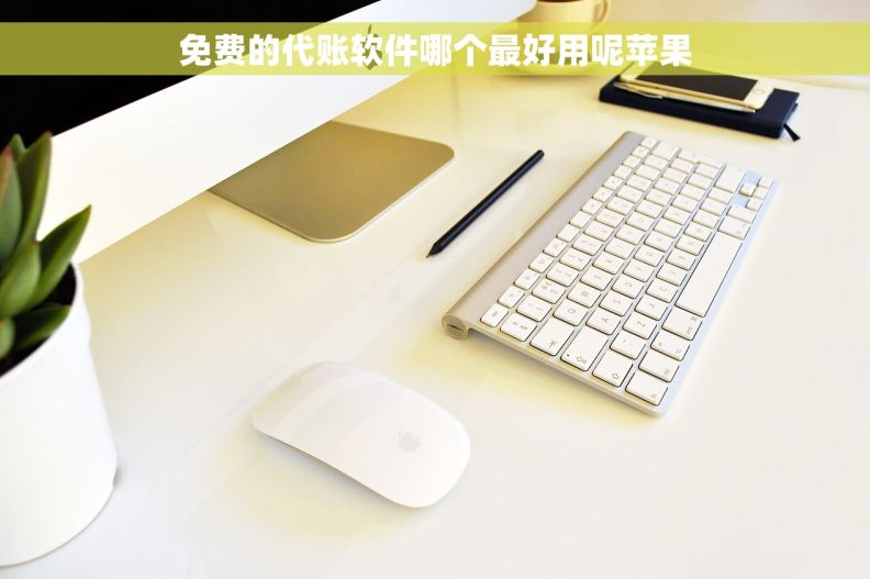 免费的代账软件哪个最好用呢苹果