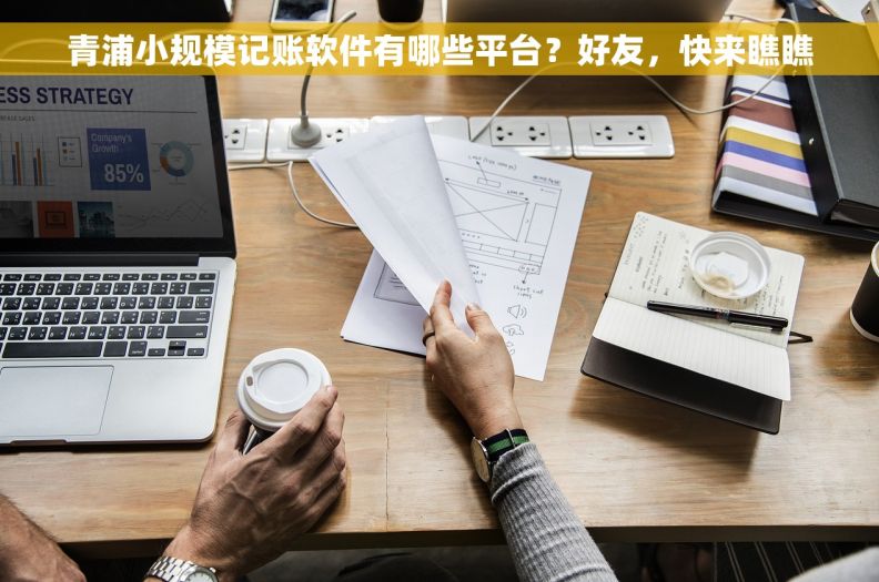 青浦小规模记账软件有哪些平台？好友，快来瞧瞧