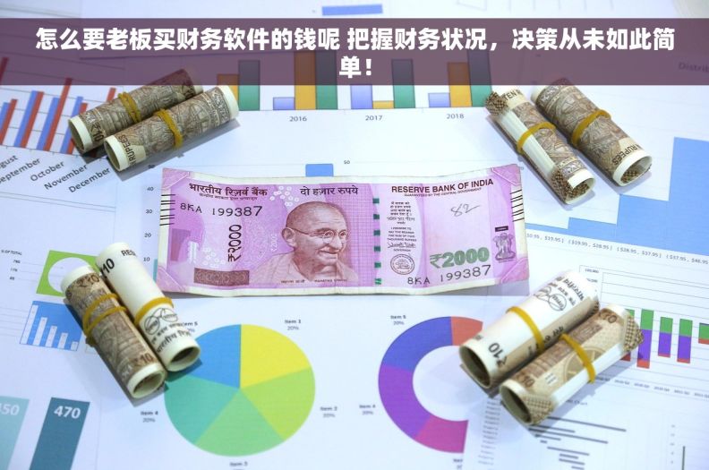 怎么要老板买财务软件的钱呢 把握财务状况，决策从未如此简单！
