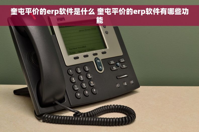 奎屯平价的erp软件是什么 奎屯平价的erp软件有哪些功能