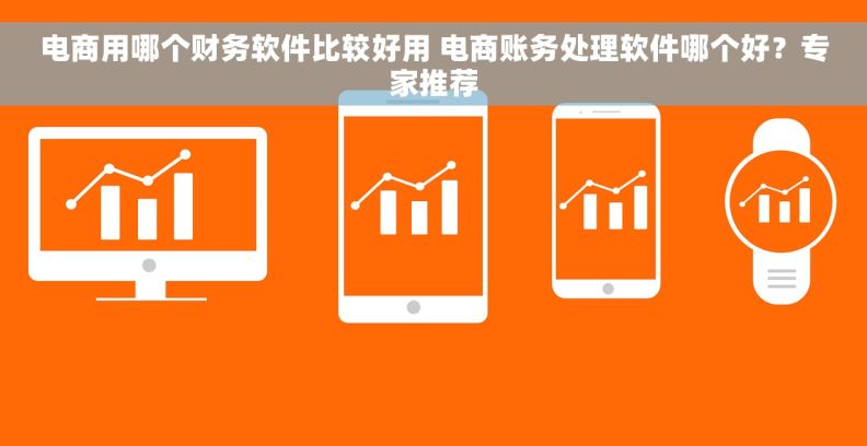 电商用哪个财务软件比较好用 电商账务处理软件哪个好？专家推荐