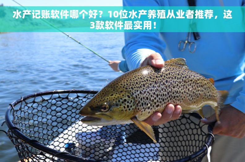 水产记账软件哪个好？10位水产养殖从业者推荐，这3款软件最实用！
