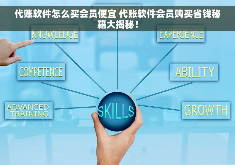 代账软件怎么买会员便宜 代账软件会员购买省钱秘籍大揭秘！