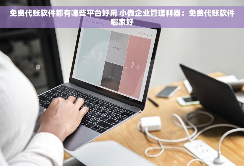 免费代账软件都有哪些平台好用 小微企业管理利器：免费代账软件哪家好