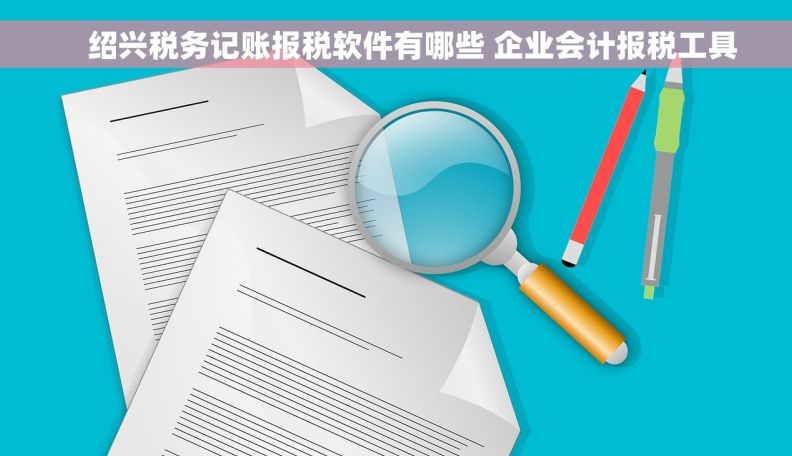     绍兴税务记账报税软件有哪些 企业会计报税工具
