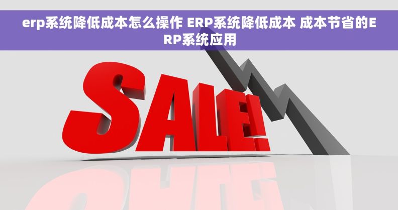 erp系统降低成本怎么操作 ERP系统降低成本 成本节省的ERP系统应用