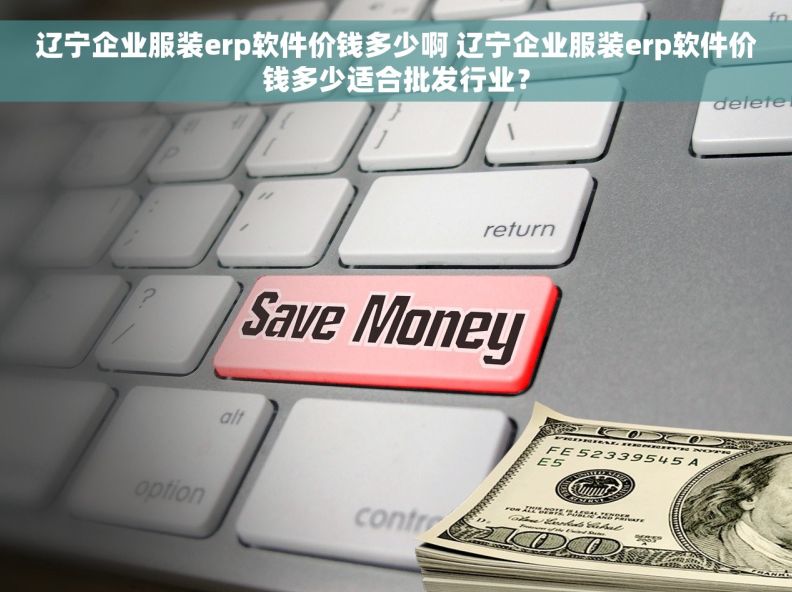 辽宁企业服装erp软件价钱多少啊 辽宁企业服装erp软件价钱多少适合批发行业？