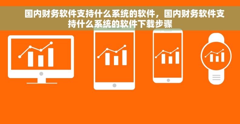     国内财务软件支持什么系统的软件，国内财务软件支持什么系统的软件下载步骤