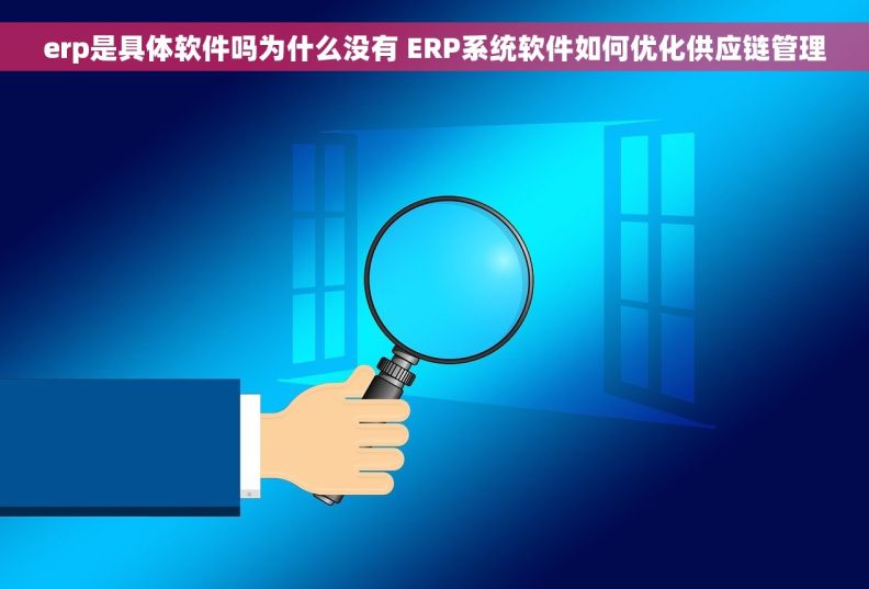 erp是具体软件吗为什么没有 		ERP系统软件如何优化供应链管理