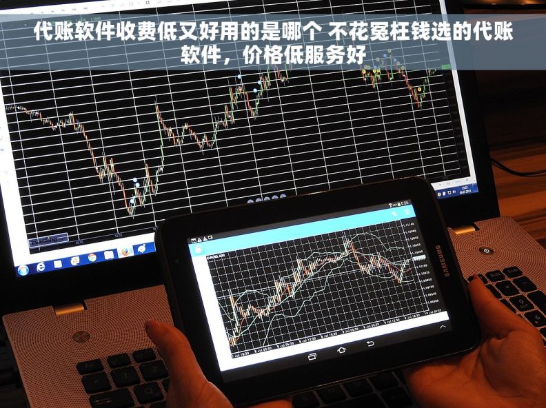 代账软件收费低又好用的是哪个 不花冤枉钱选的代账软件，价格低服务好