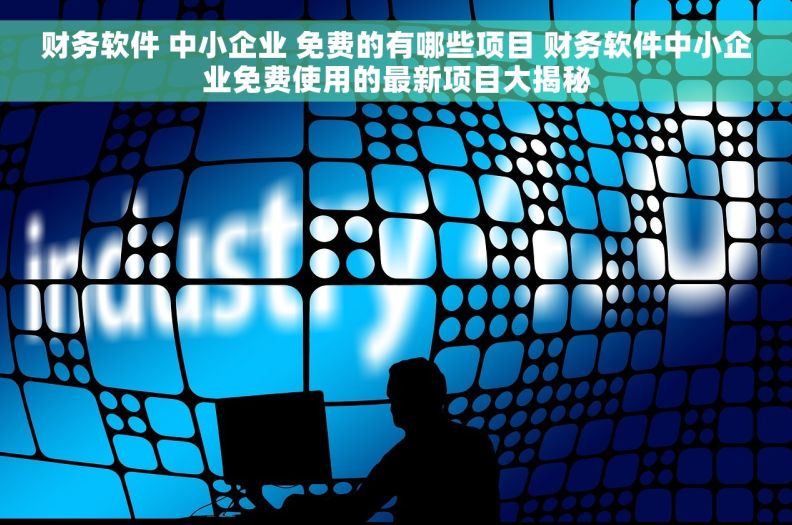 财务软件 中小企业 免费的有哪些项目 财务软件中小企业免费使用的最新项目大揭秘