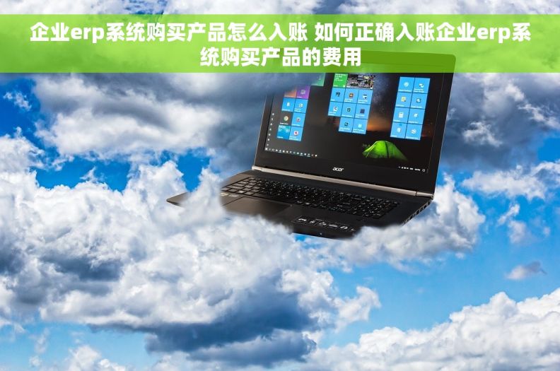 企业erp系统购买产品怎么入账 如何正确入账企业erp系统购买产品的费用