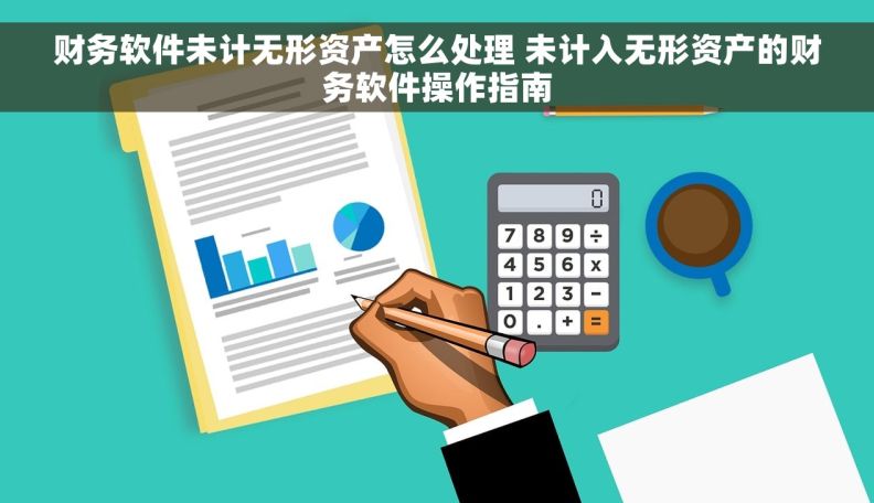 财务软件未计无形资产怎么处理 未计入无形资产的财务软件操作指南
