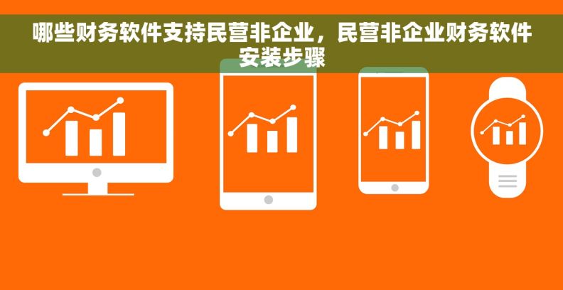 哪些财务软件支持民营非企业，民营非企业财务软件安装步骤
