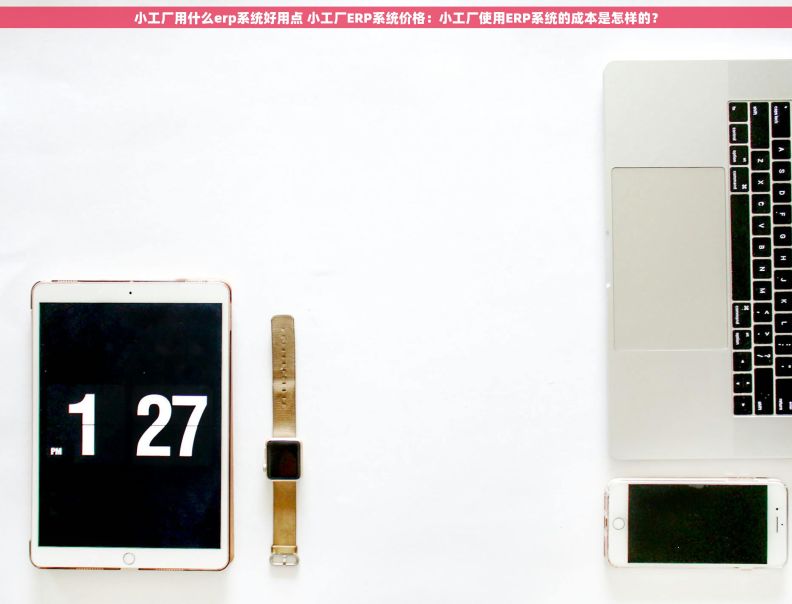 小工厂用什么erp系统好用点 小工厂ERP系统价格：小工厂使用ERP系统的成本是怎样的？