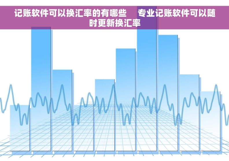 记账软件可以换汇率的有哪些     专业记账软件可以随时更新换汇率
