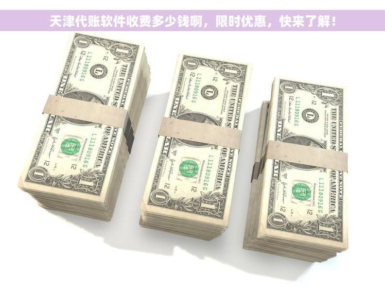 		天津代账软件收费多少钱啊，限时优惠，快来了解！