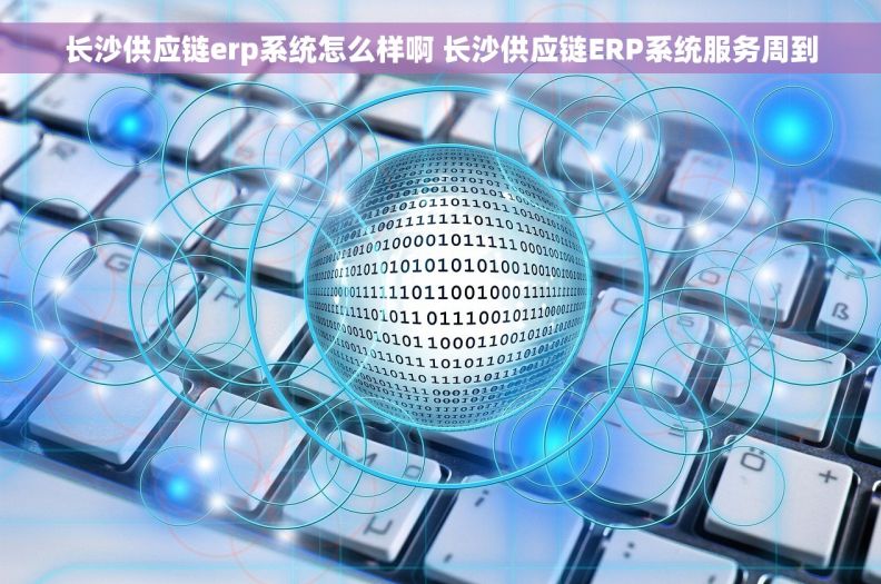 长沙供应链erp系统怎么样啊 长沙供应链ERP系统服务周到