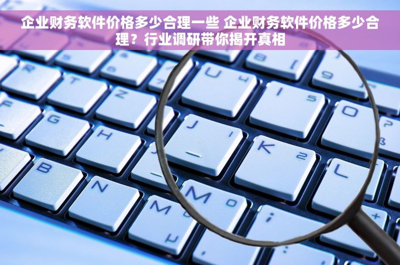 企业财务软件价格多少合理一些 企业财务软件价格多少合理？行业调研带你揭开真相