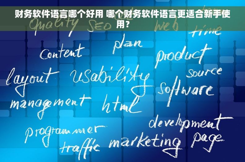 财务软件语言哪个好用 哪个财务软件语言更适合新手使用？