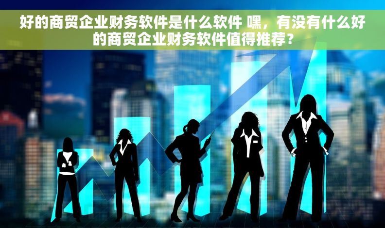 好的商贸企业财务软件是什么软件 嘿，有没有什么好的商贸企业财务软件值得推荐？