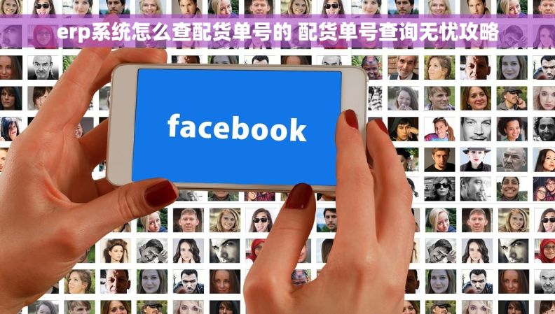 erp系统怎么查配货单号的 配货单号查询无忧攻略