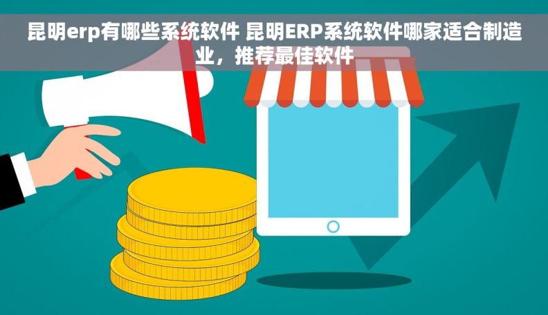 昆明erp有哪些系统软件 昆明ERP系统软件哪家适合制造业，推荐最佳软件
