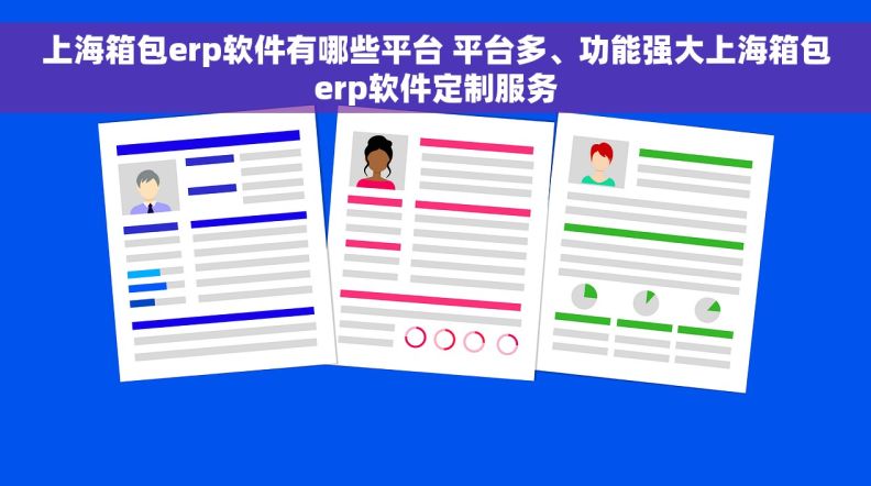 上海箱包erp软件有哪些平台 平台多、功能强大上海箱包erp软件定制服务