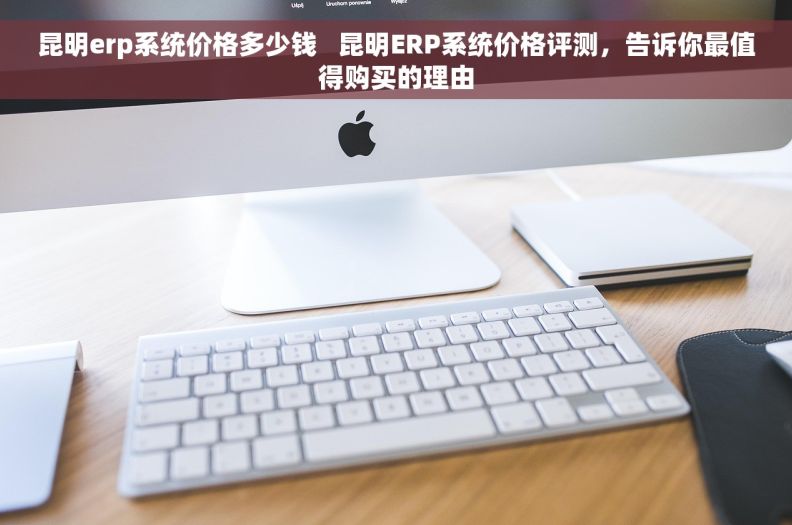 昆明erp系统价格多少钱   昆明ERP系统价格评测，告诉你最值得购买的理由