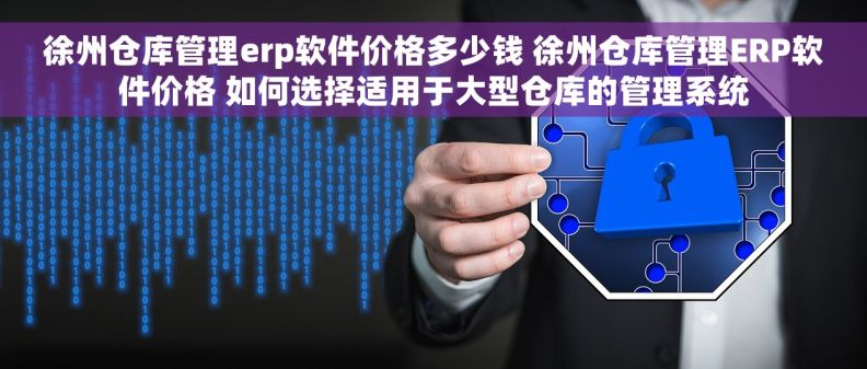 徐州仓库管理erp软件价格多少钱 徐州仓库管理ERP软件价格 如何选择适用于大型仓库的管理系统