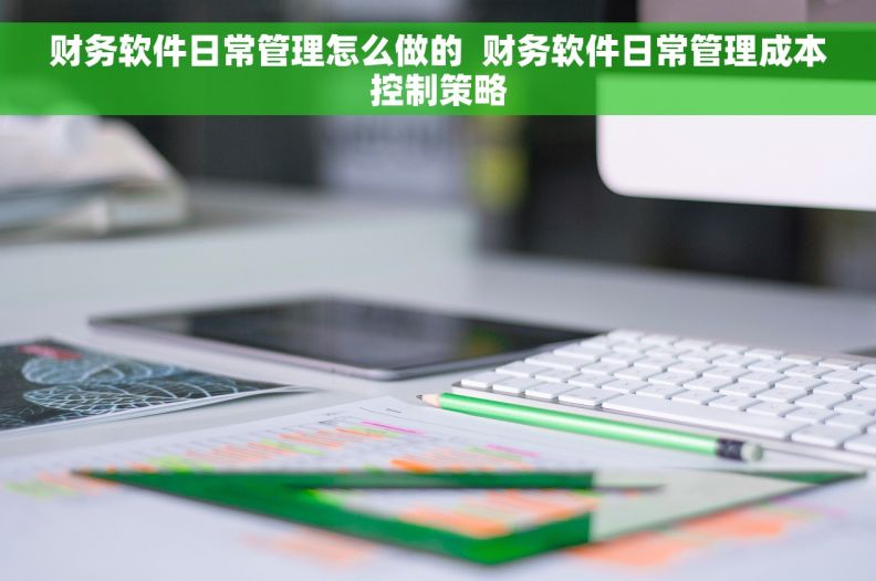 财务软件日常管理怎么做的  财务软件日常管理成本控制策略