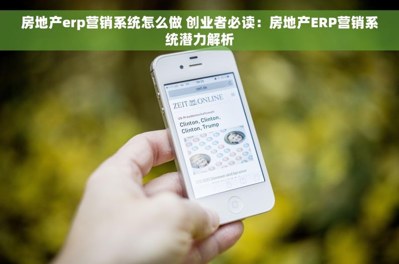 房地产erp营销系统怎么做 创业者必读：房地产ERP营销系统潜力解析
