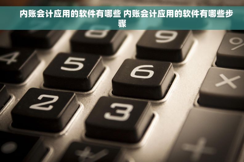     内账会计应用的软件有哪些 内账会计应用的软件有哪些步骤